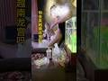 越南龙宫#越南旅游 #胡志明旅游 #胡志明 #越南女孩