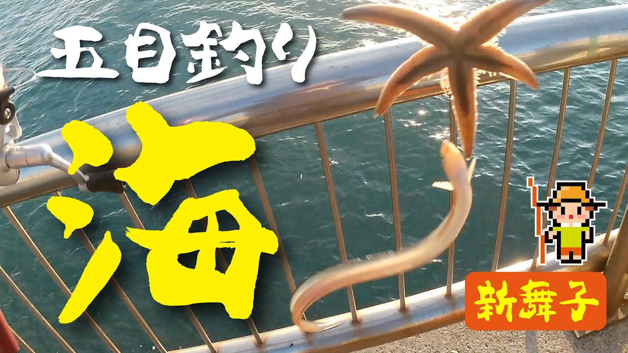 堤防釣り 冬の五目釣り 新舞子マリンパーク Embankment Fishing 14 Youtube