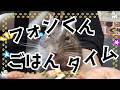 デグーのフォンくんご飯タイムASMR