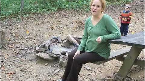 Maple Tree Campground | CBS | City Charmer