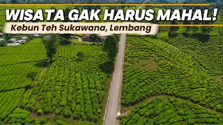 FREE TOUR IN BANDUNG❗Trip And Review Of Sukawana Tea Garden Lembang