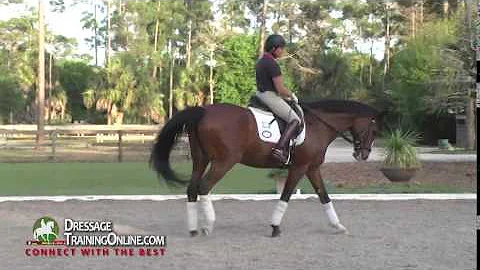 Nancy Later on rebalancing your horse