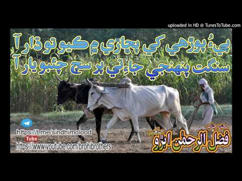 FAZAL UR REHMAN ABRO