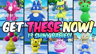 Shiny Jumbo Easter Egg Giveaway for all Baby Pokemon in Scarlet Violet