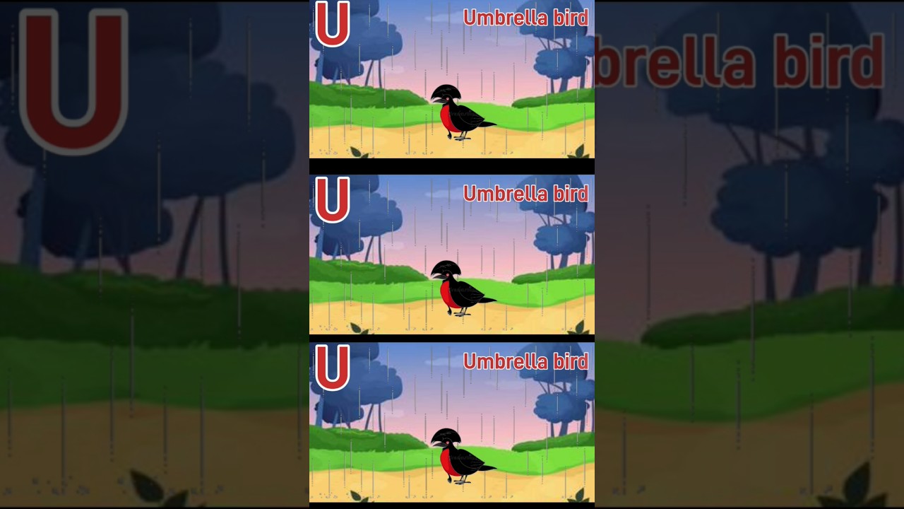 ABC Animals Song Part 3 | Fun Alphabet Learning from U to Z  