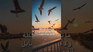 ستوريات شعر  شعر شعبي عراقي تصميم تصاميم ستوريات تصاميم اشعار كتابات صور عبارات شعراء بغدادالعراق