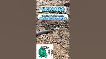 Bùn đặc mấy cũng hút khỏe như trâu!