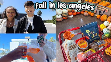 MY FIRST INFLUENCER EVENT + trader joes fall haul & taste test!