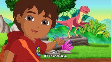 Go, Diego, Go!  -  Diego