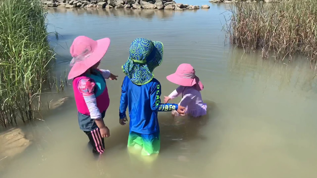 Clams in Texas YouTube