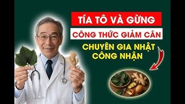 Lá Tía Tô Và Gừng - Công Thức Giảm Cân – Được Chuyên Gia Nhật Bản Công Nhận!