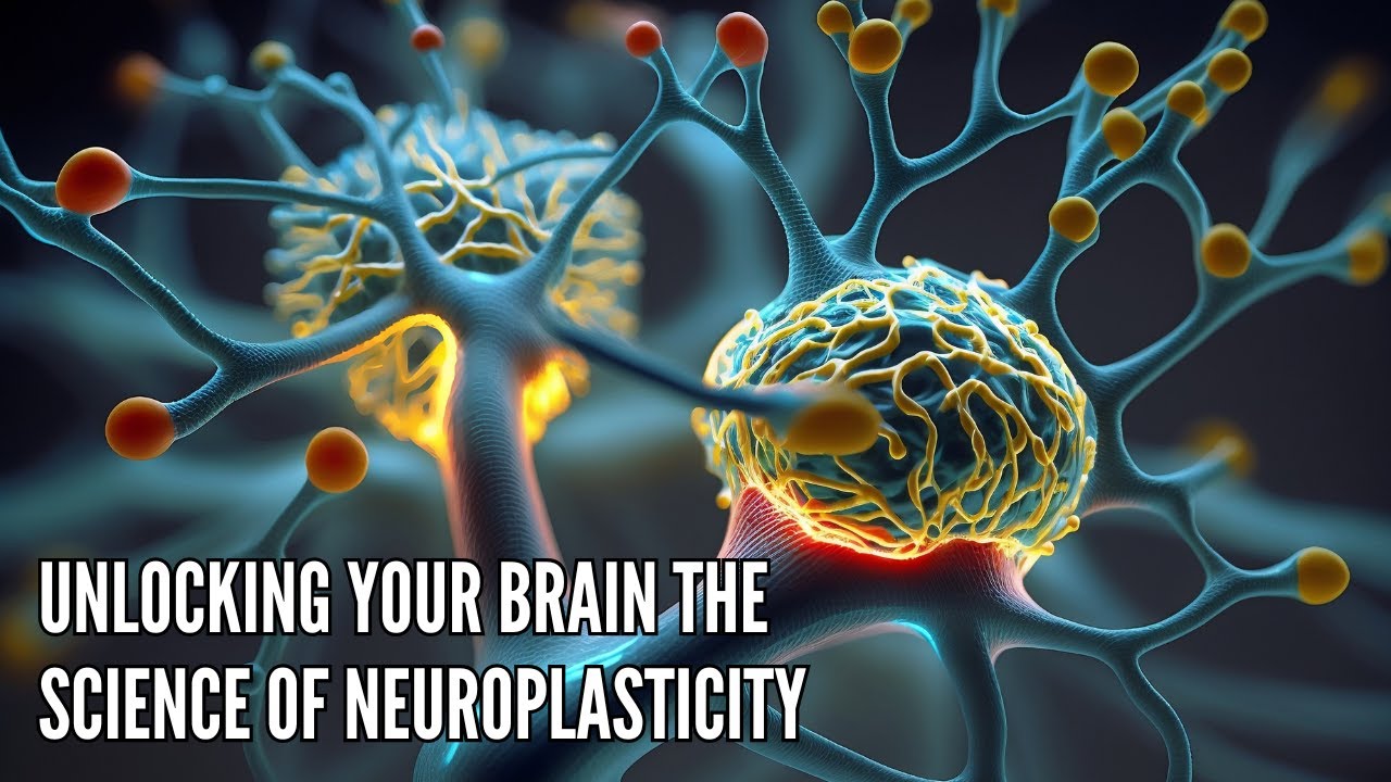 Unlocking Your Brain The Science of Neuroplasticity - YouTube