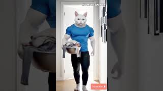 3 May 2026 entertainment video and funny content###funny