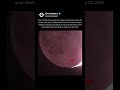 100 Ping Pong Sized Meteors Hit The Moon Daily 100 Ping Pong Sized Meteors Hit The Moon Daily