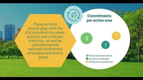 CitiesWithNature Action Platform Level 2: Take specific ACTIONS to achieve a commitment