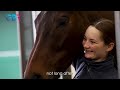 From Racing Glory to Gentle Days | Crambo’s Retirement Story
