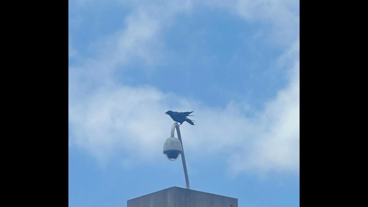 Serv Flow Prod.Yesok