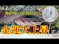 【⚠️コレを見たら金運爆上げ】※神の使い現る!※4つの結界を超えて神域へ大開運が始まる出雲大社☆ izumooyashiro Japan