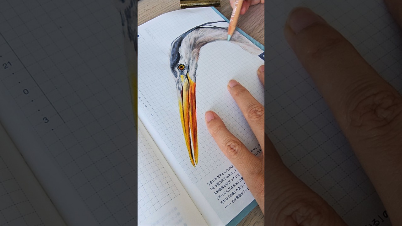Drawing a heron in my Hobonichi journal ✨️  | 