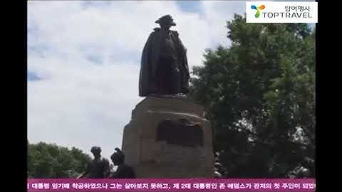 탑 여행사 애 난데 일 top travel inc annandale