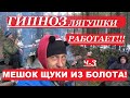 НА БОЛОТЕ СПОЙМАЛИ МЕШОК ДИКОЙ ЩУКИ/ГИПНОЗ ЛЯГУШКИ/НАВАРИЛИ УХУ/ЁЛОЧНАЯ КРОВАТЬ.1080|HD|30|SONI