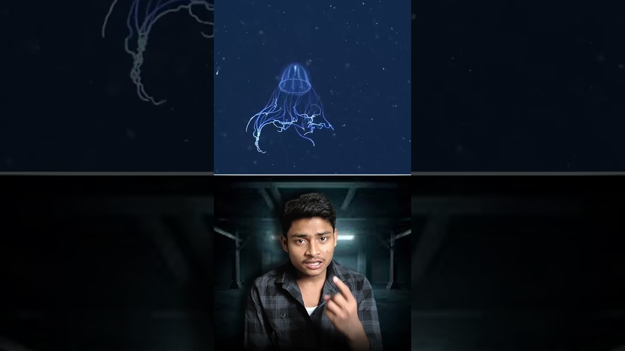 90% of Deep Sea Species Glow! But How? 