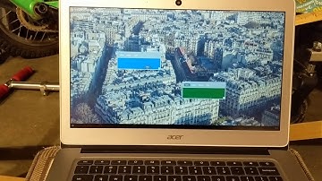 Fuchsia OS Armadillo , Capybara running on Chromebook