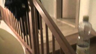 Smích...? - Nova Era 11.2.2011