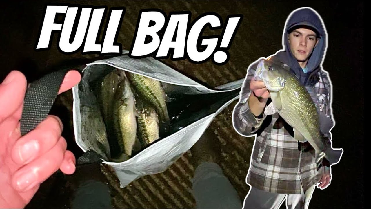 Fishing Local Tournament for a FULL LIMIT of BASS