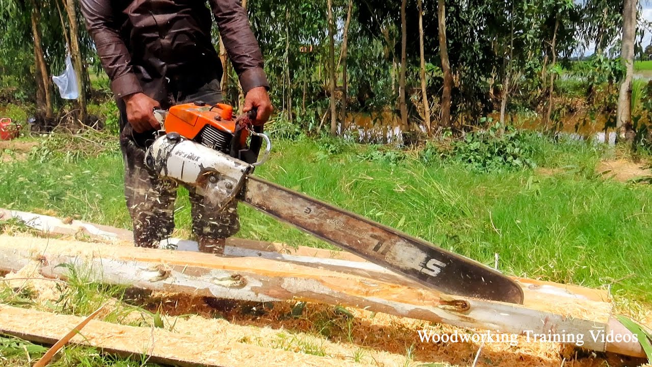 No Wood Can Stop This Chainsaw! STIHL Chainsaw Safety Video 2022 YouTube