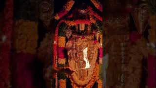 #govinda #narayana #srinivasa #tirumala #devotional #spiritual #shiva #viralshorts