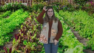 ASL in the Garden - Alyssa does ASL