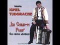 Ionel Tudorache - La Chilia-n port