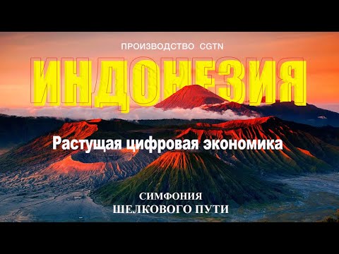 «Симфония Шелкового пути» – Индонезия: Растущая цифровая экономика