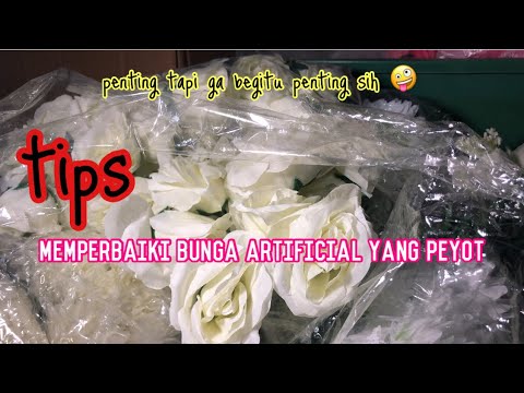 Video: Peony Damage - Memperbaiki Peony Rusak Di Taman