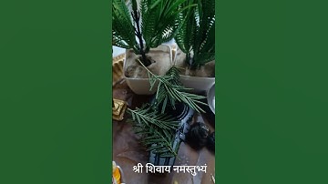 27 अगस्त गणेश चतुर्थी कर कर यह उपाय#जानिए प्रदीप मिश्रा से