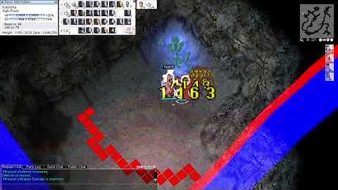 SolaceRO How to Kill [Dev] Lynx using Assassin Cross