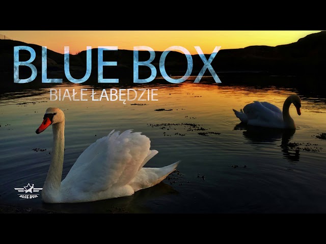 Blue Box - Białe Łabędzie