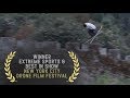 Candide thovex quattro 2  2018 new york city drone film festival extreme sports category winner