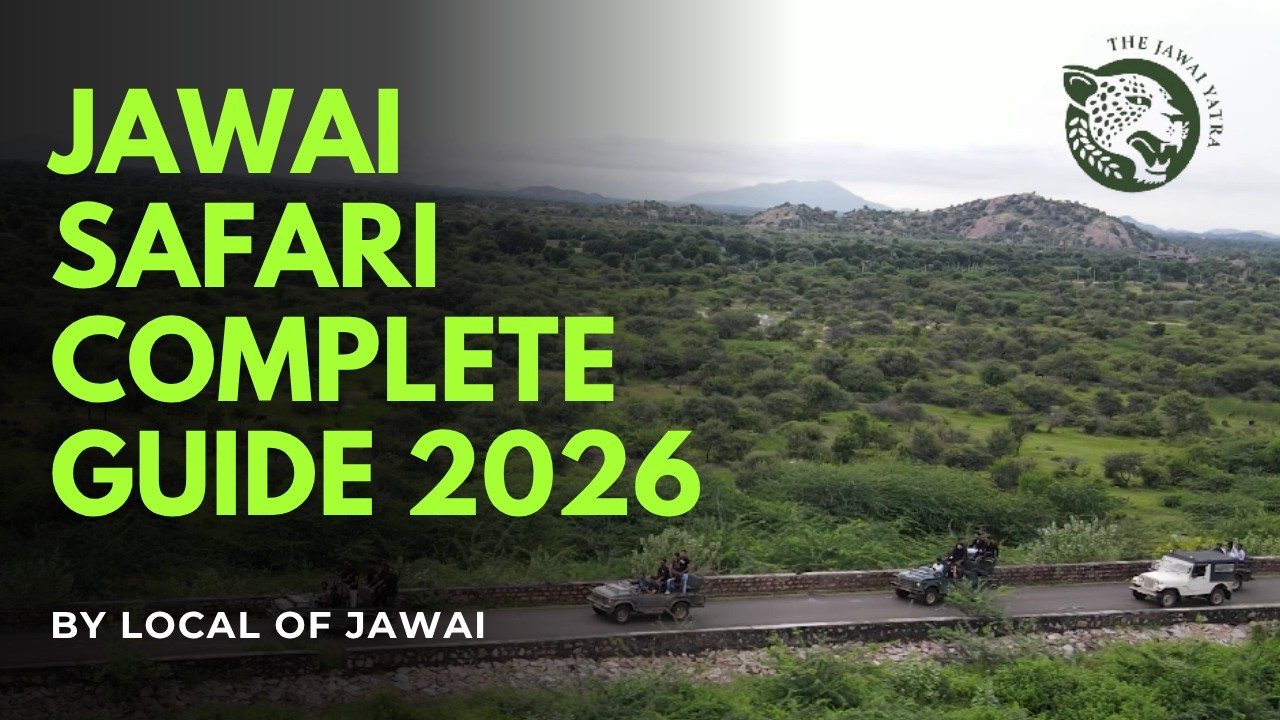 Perfect Guided information for visiting Jawai, Rajasthan 
