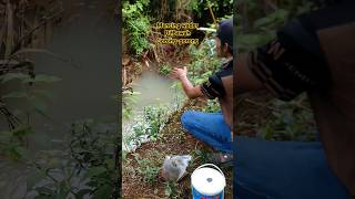 Mancing Wader di bawah Gorong-gorong