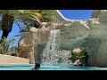 Best Pool in Las Vegas - Mandalay Bay!!!