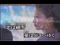 おんなの灯り カラオケ - Japanese Music Karaoke