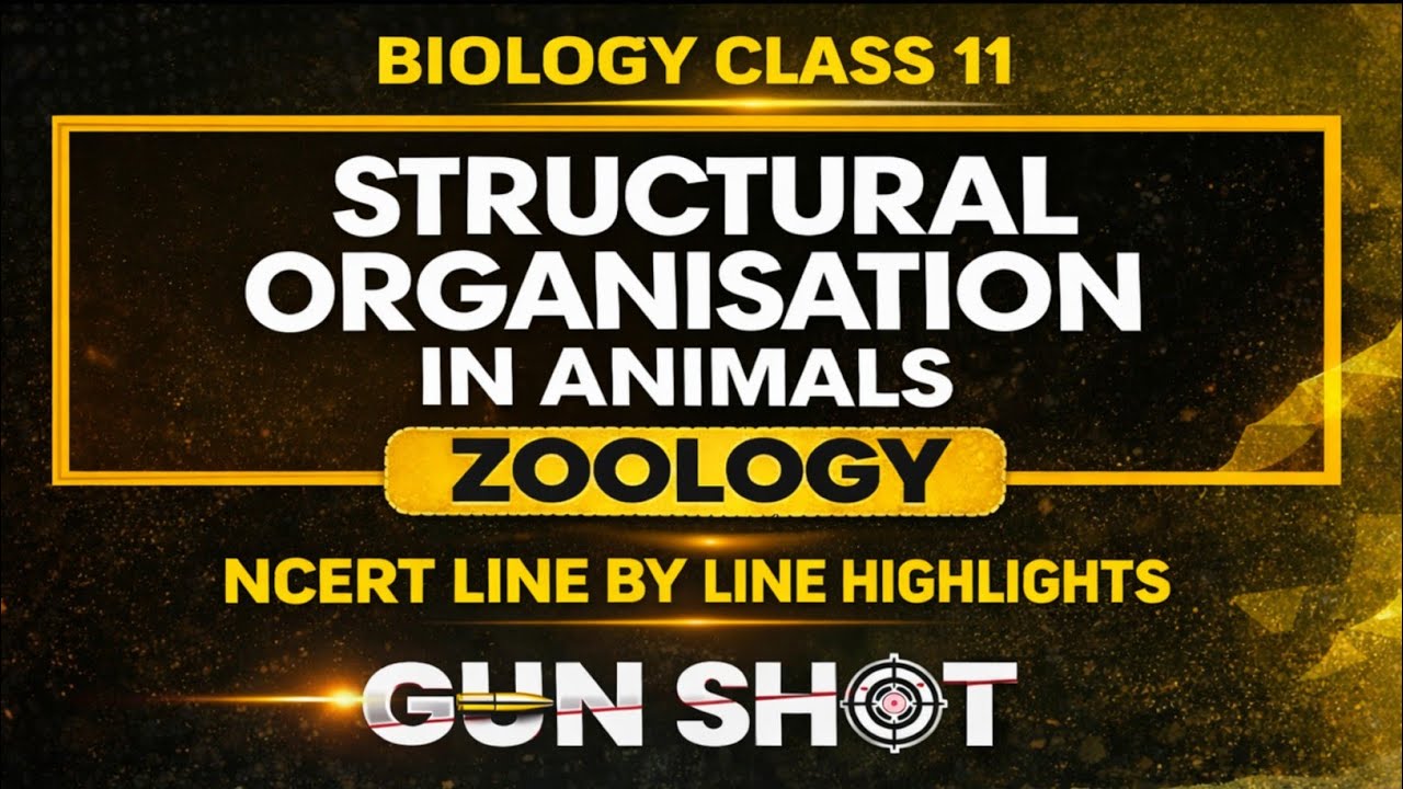 Structural Organisation in Animals One Shot | Class 11 Biology NCERT ...