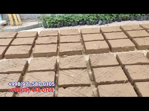 Lotin Amerikasi qizlarining eng ajoyib fotosuratlari