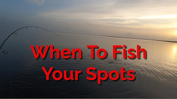 Mastering the Tides for Consistent Fishing | Tips for Catching More Fish!