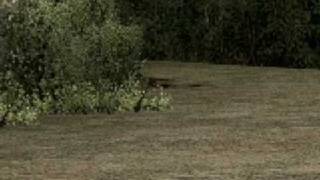 Garry's Mod - Stranded