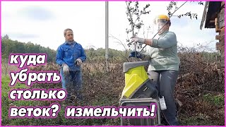 Какой чудесный день...для работы на участке!