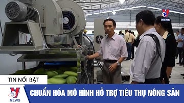 Chuẩn hóa mô hình hỗ trợ tiêu thụ nông sản - VNEWS