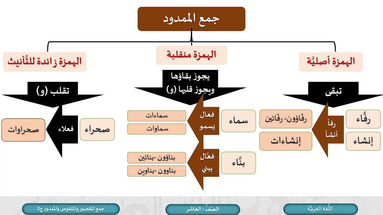 الصف العاشر   اللغة العربية   جمع المقصور والمنقوص والممدود ج2